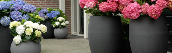 capi-pots org:/product-category pages/capibanner.jpg